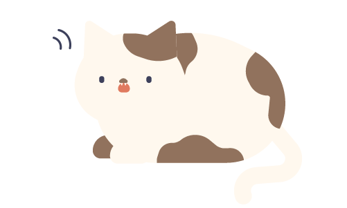 貓咪
